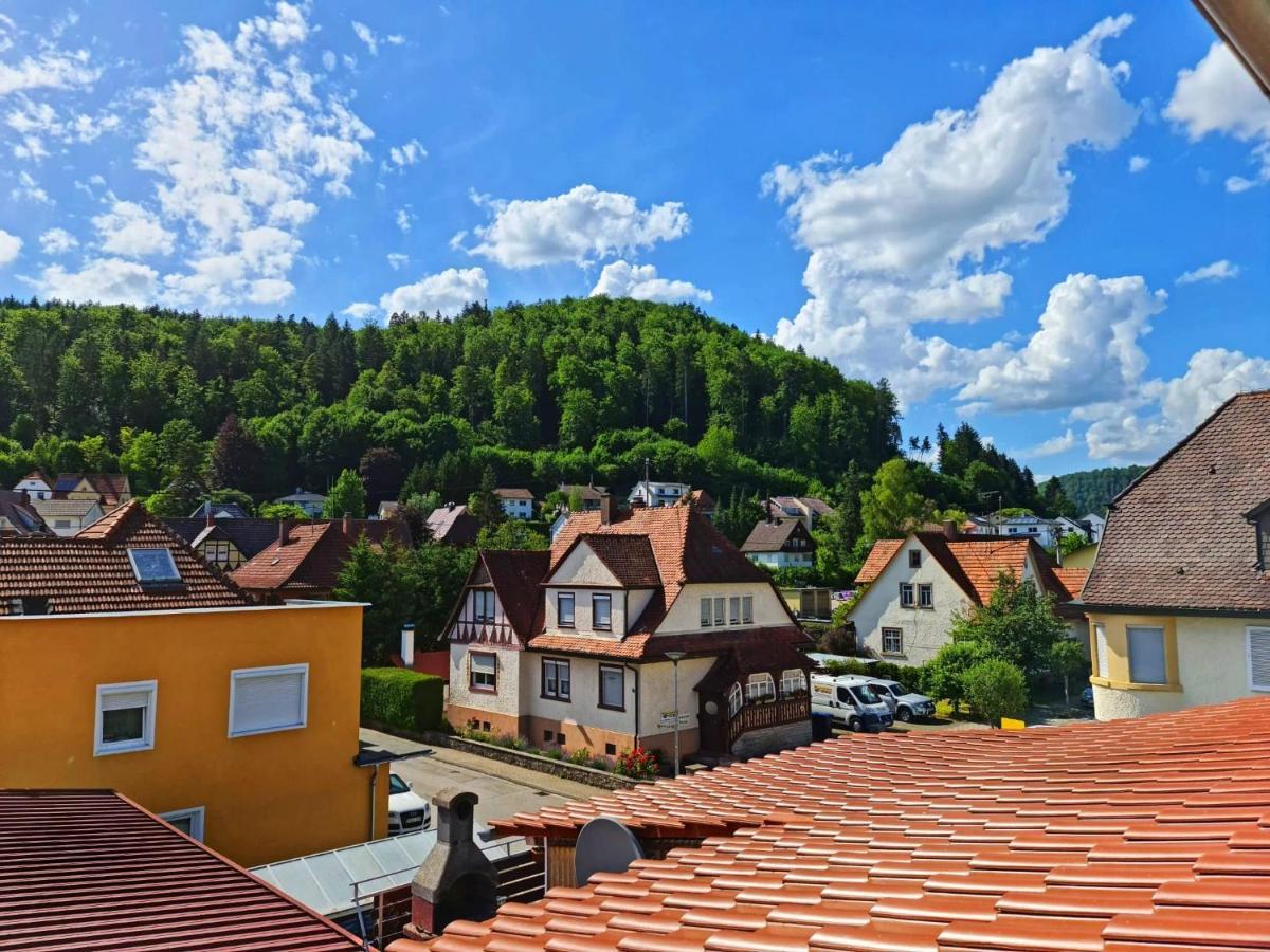 Pension Transilvania Immendingen Esterno foto