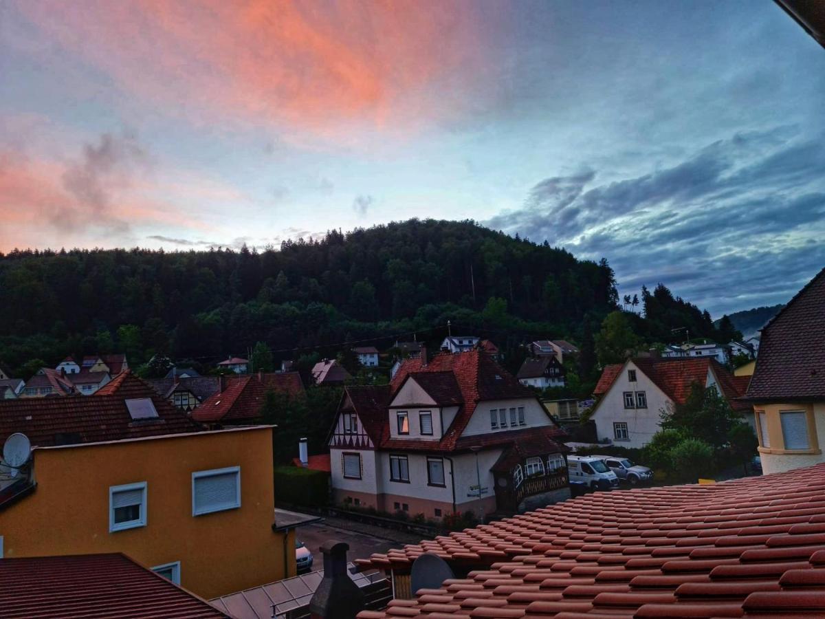 Pension Transilvania Immendingen Esterno foto
