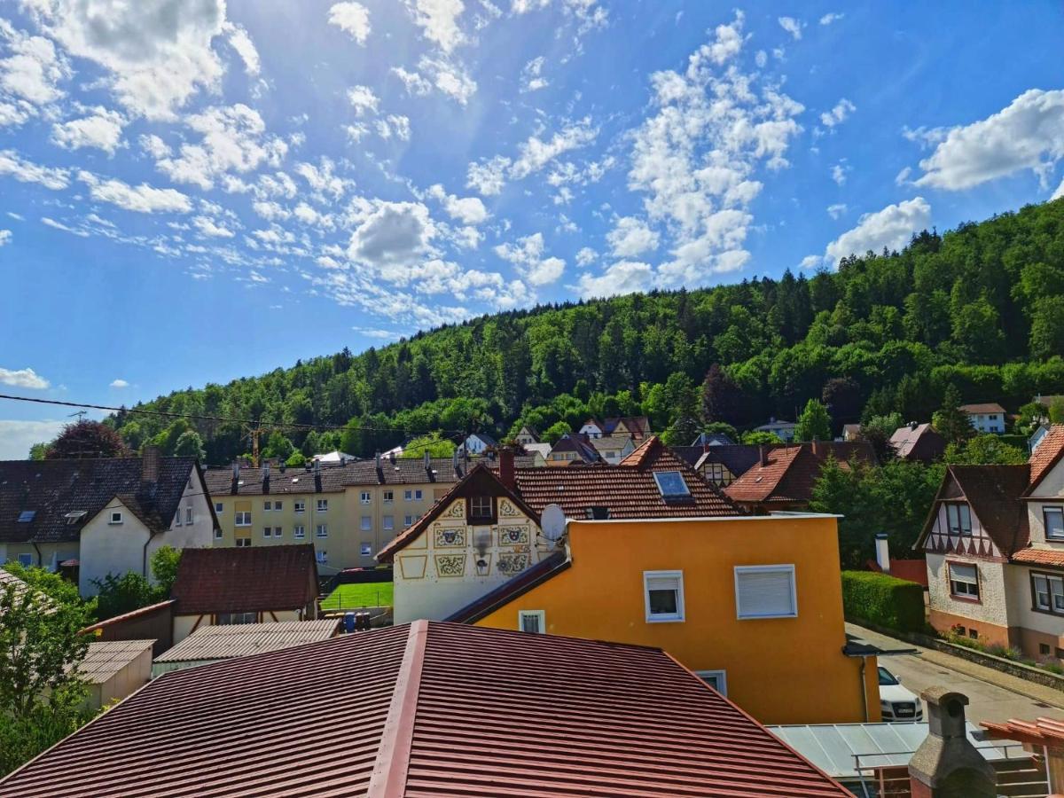 Pension Transilvania Immendingen Esterno foto